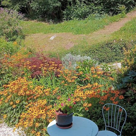 Bed and Breakfast Il Ciliegio Imer Exterior foto