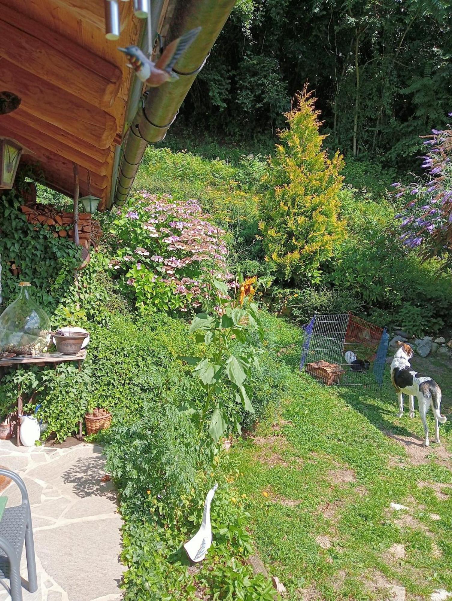 Bed and Breakfast Il Ciliegio Imer Exterior foto